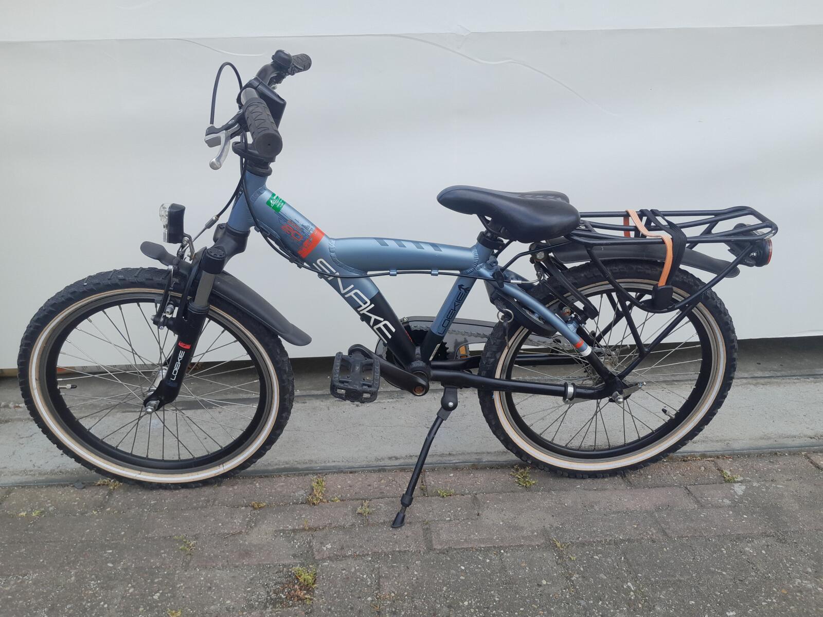 Batavus Snake 3/5