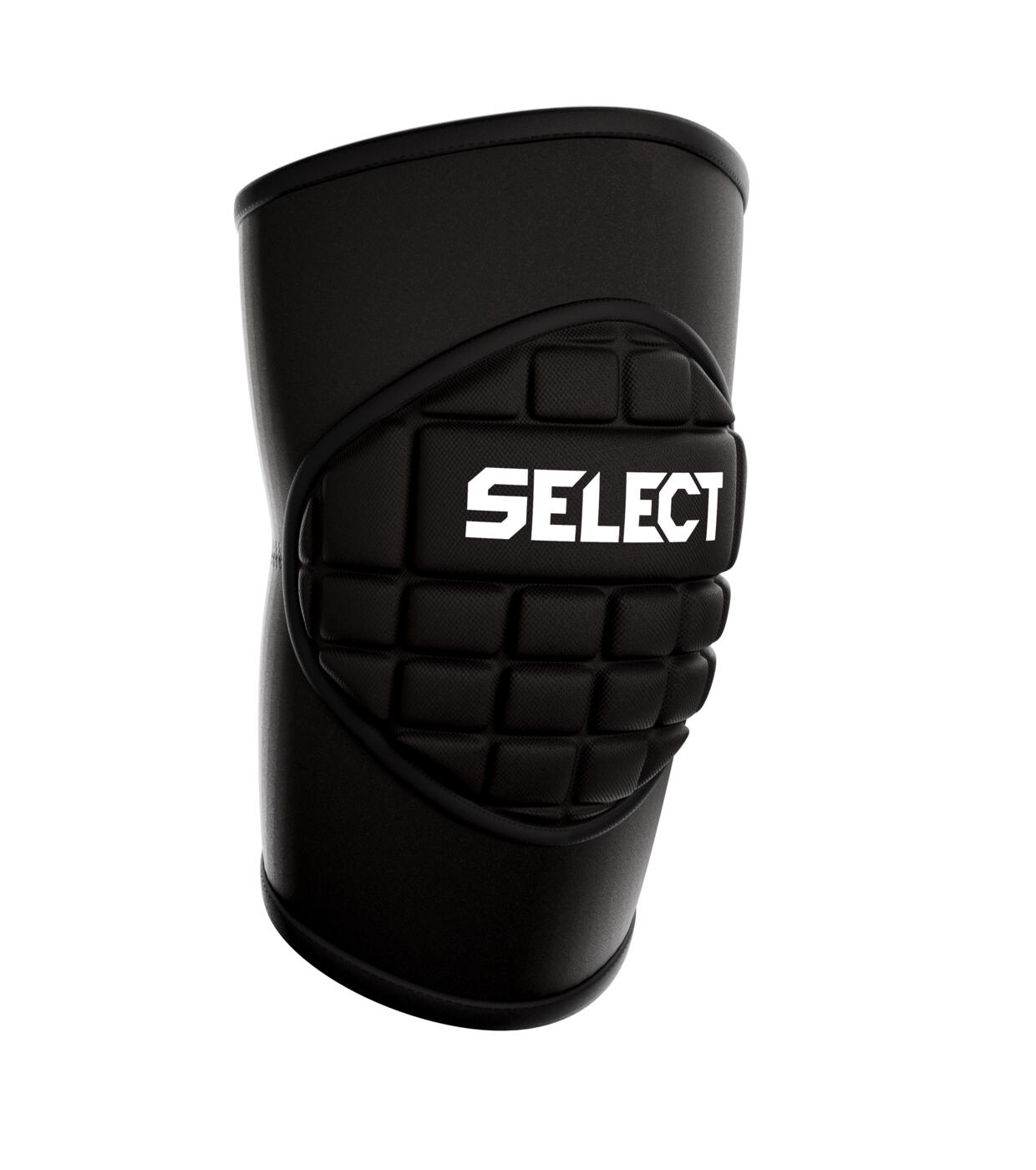 SELECT picture
