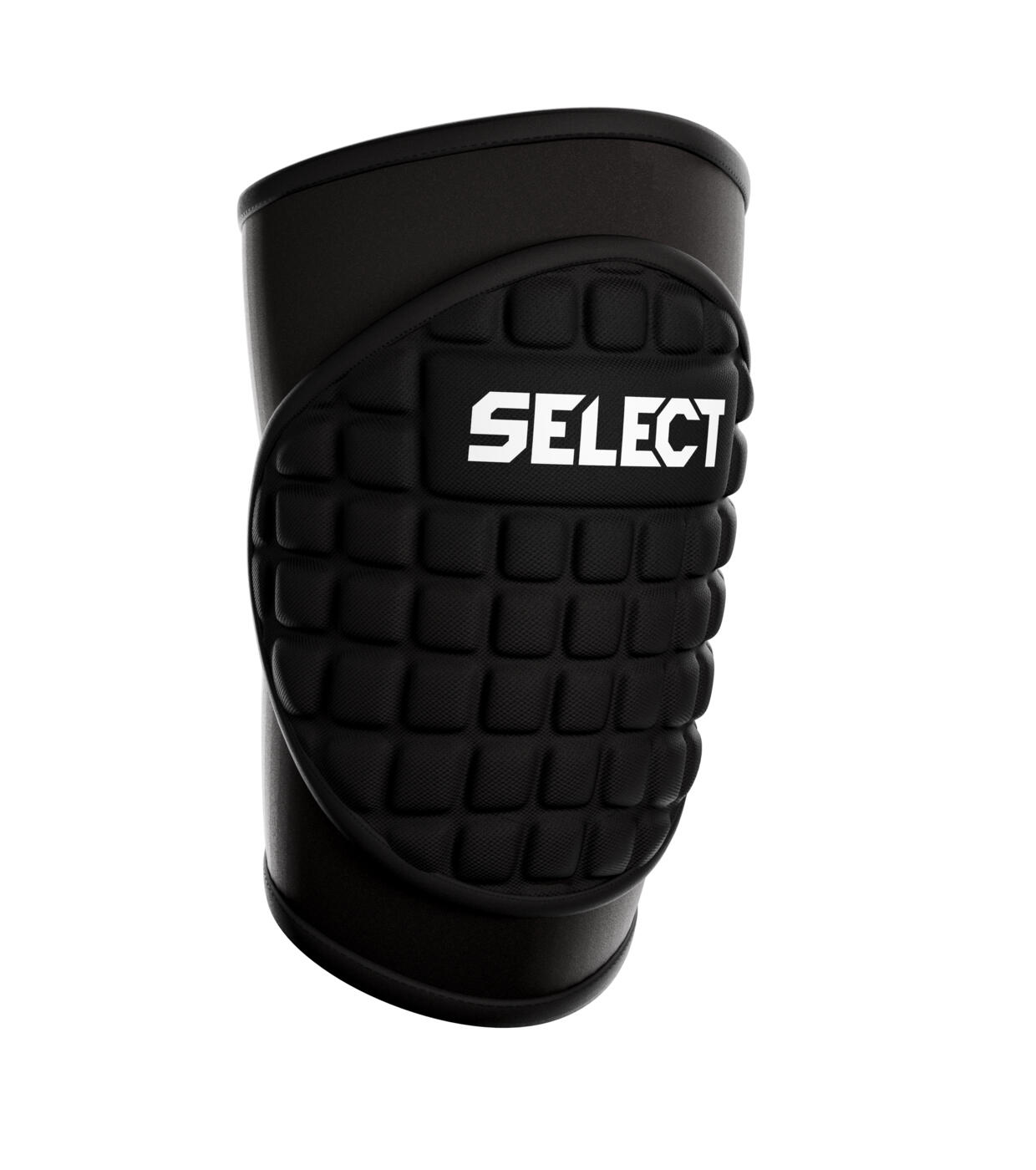 SELECT picture