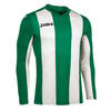 Camiseta manga larga Hombre Joma Pisa verde blanco