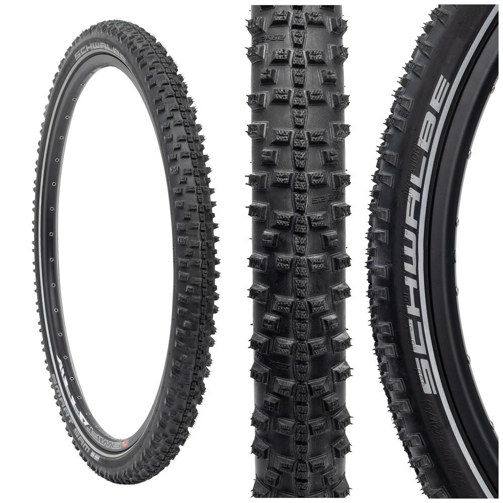 SCHWALBE picture