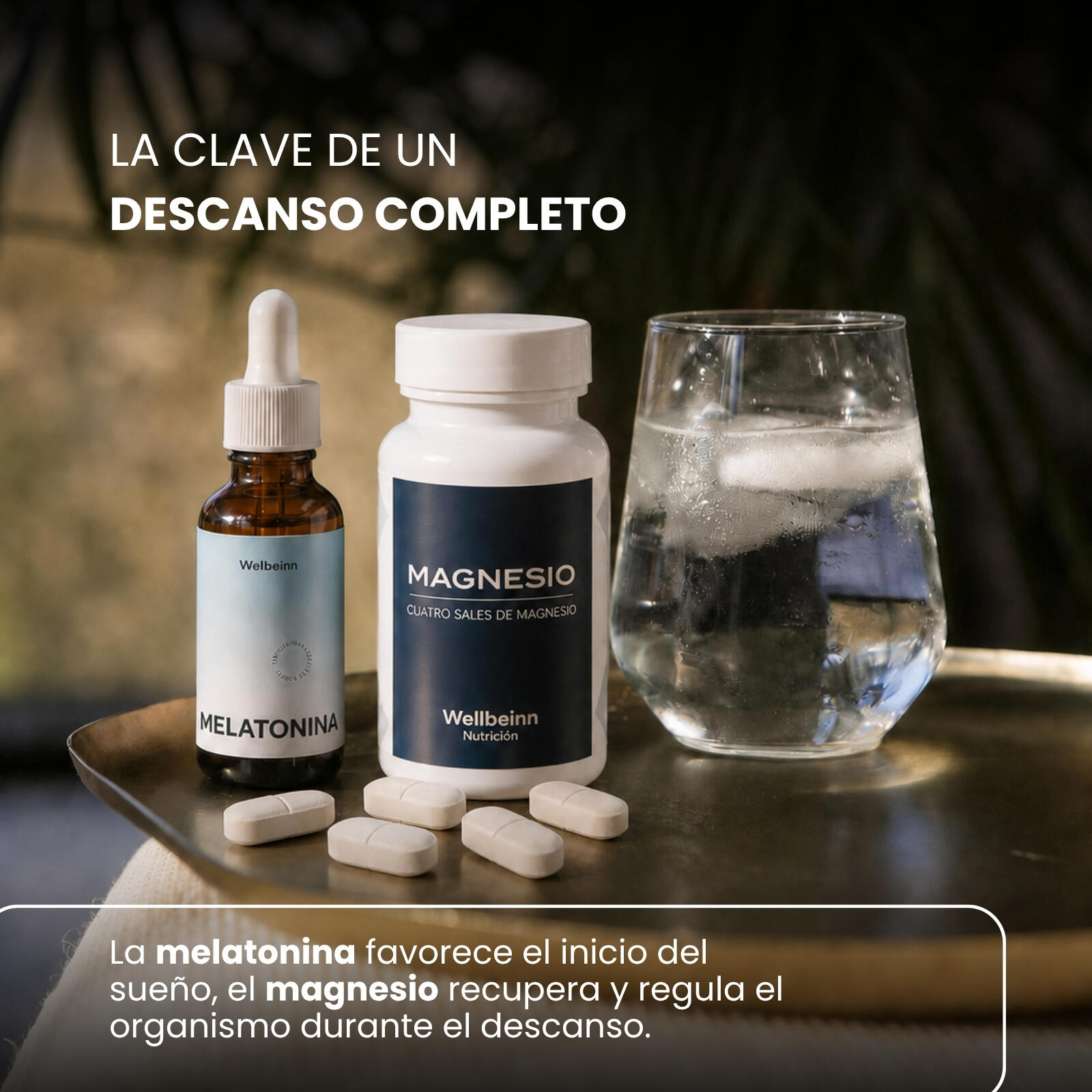 WELLBEINN Noche - Magnesio Matrix 60 comp y Melatonina B6 50 ml 3/6