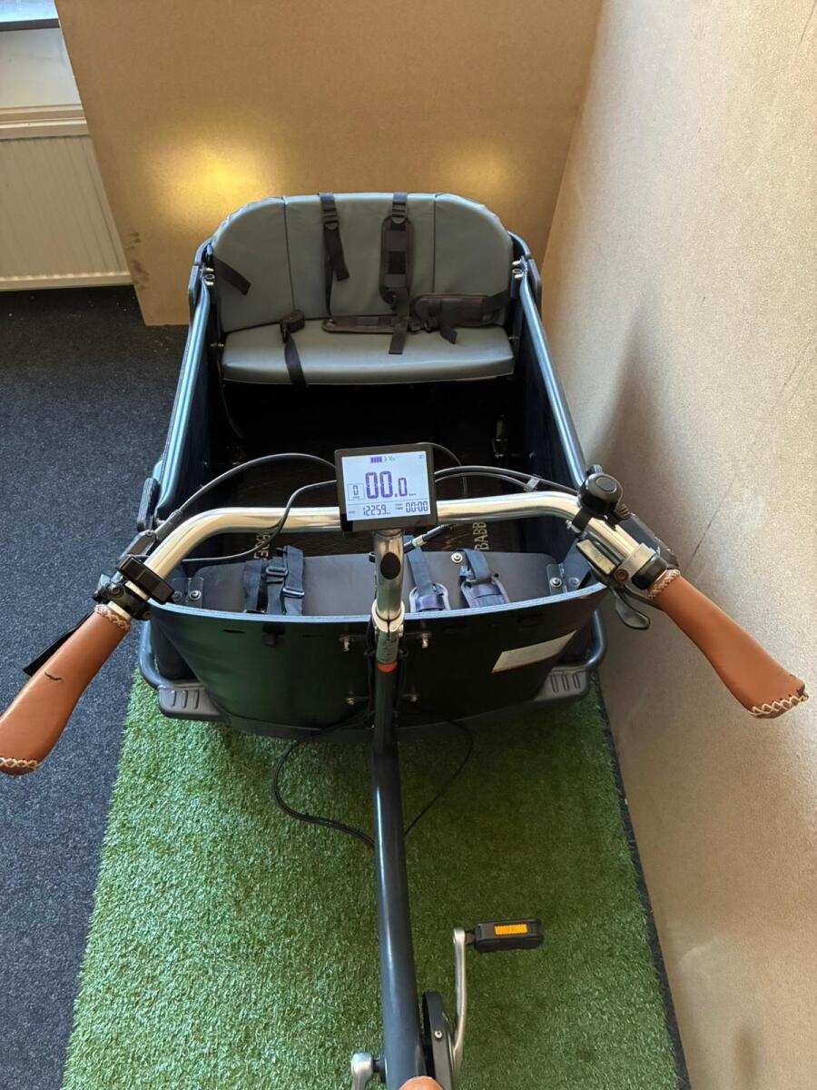 Babboe Curve E 450Wh, zwart 7/7