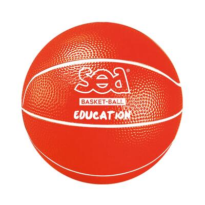 Ontdekking basketball bal sporti france sea