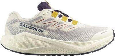 Salomon Aero Blaze 3 GRVL GTX Scarpe Running Uomo Beige/Blu