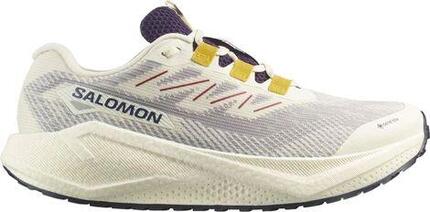 Chaussures de course Salomon modèle AERO BLAZE 3 GRVL GTX pour homme