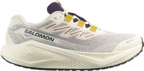 Salomon Aero Blaze 3 GRVL GTX Scarpe Running Uomo Beige/Blu