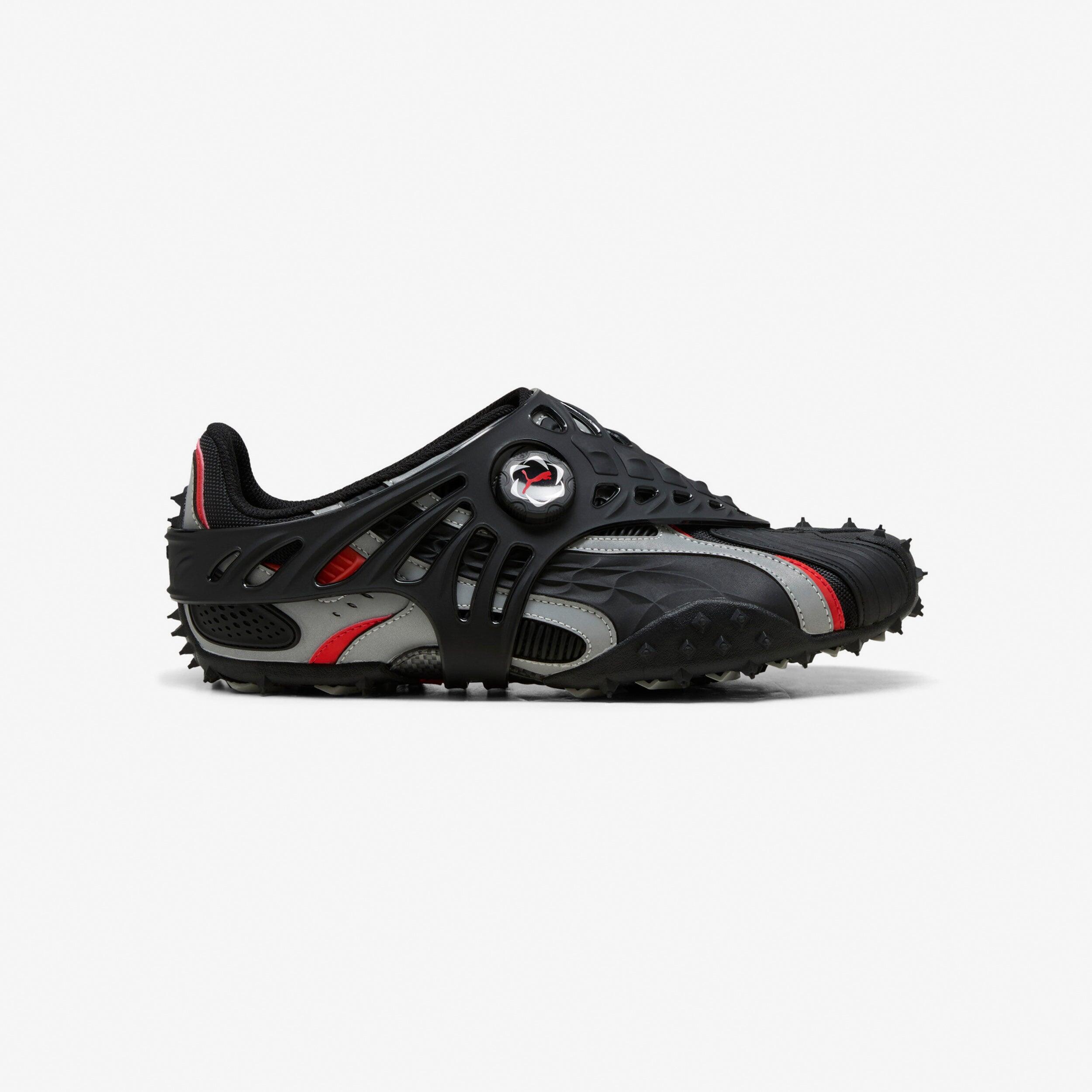 PUMA picture