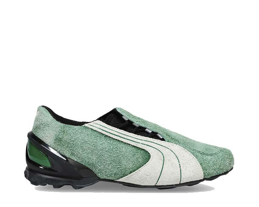 PUMA picture