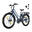 27,5" Bicicletă electrică urbană cadru jos baterie detașabilă 13Ah BK8S APP