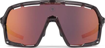 Lunettes Endura Pro SL Gris