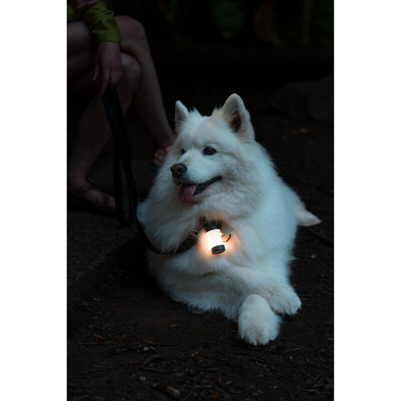 LAMPA FELINAR CAMPING LED LENSER ML4, 300 LUMENI, REINCARCABIL