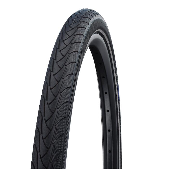 SCHWALBE picture