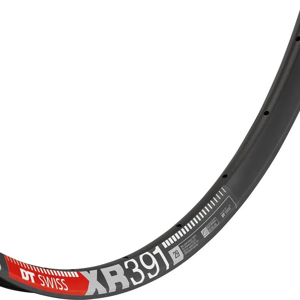 DT Swiss XR 391 Disc 29 '' Rim Black
