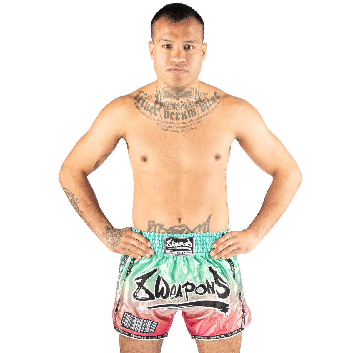 Shorts de Muay Thaï - Vivo Mesosphere 3/3