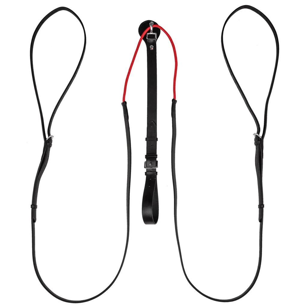 Training reins for horses Waldhausen W-trainRein