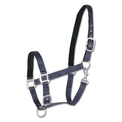 Satin halster voor paard waldhausen