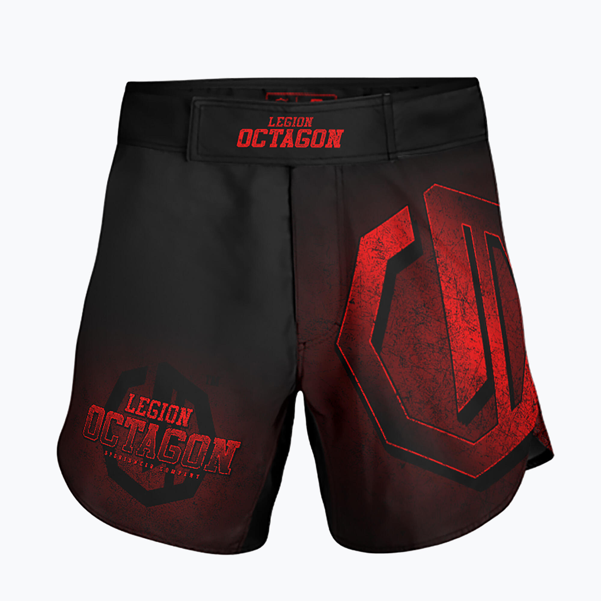 OCTAGON picture