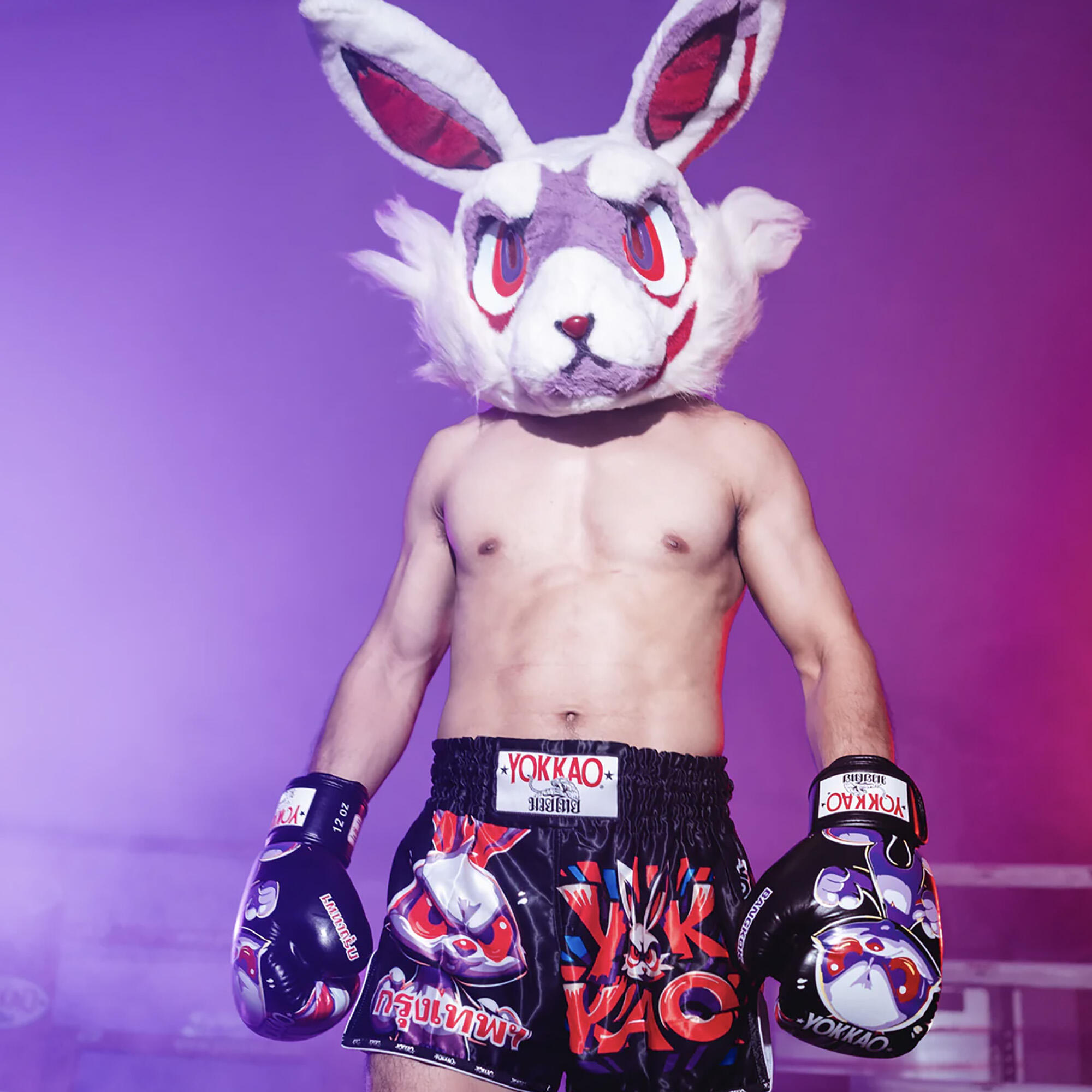Spodenki treningowe męskie YOKKAO Angry Rabbit Muay Thai 6/7