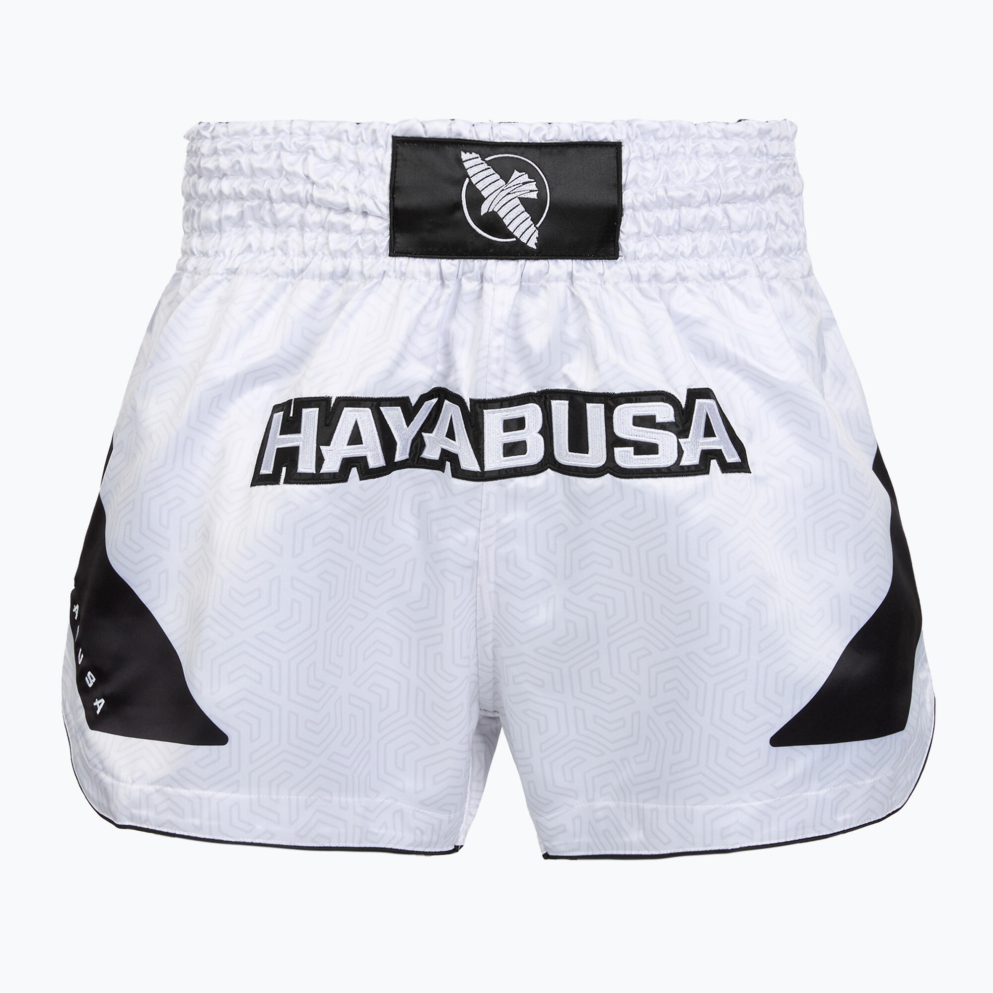 HAYABUSA picture
