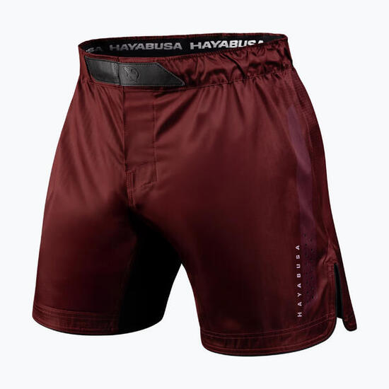 Short d'entraînement pour homme Hayabusa Apex Fight 3/4