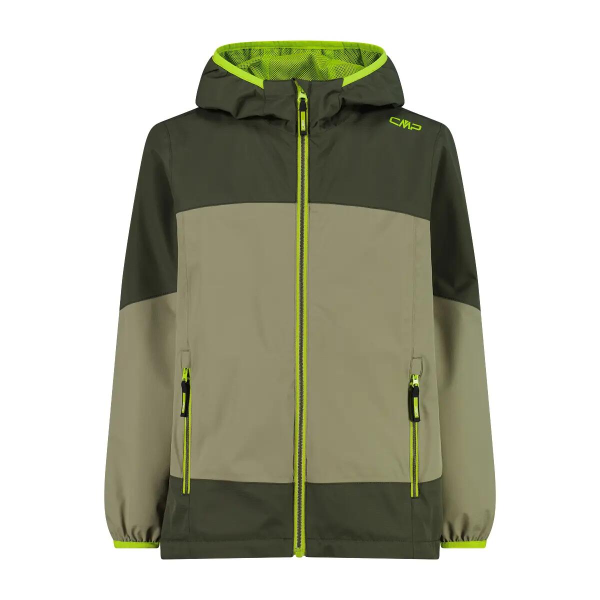 vert / olive verte