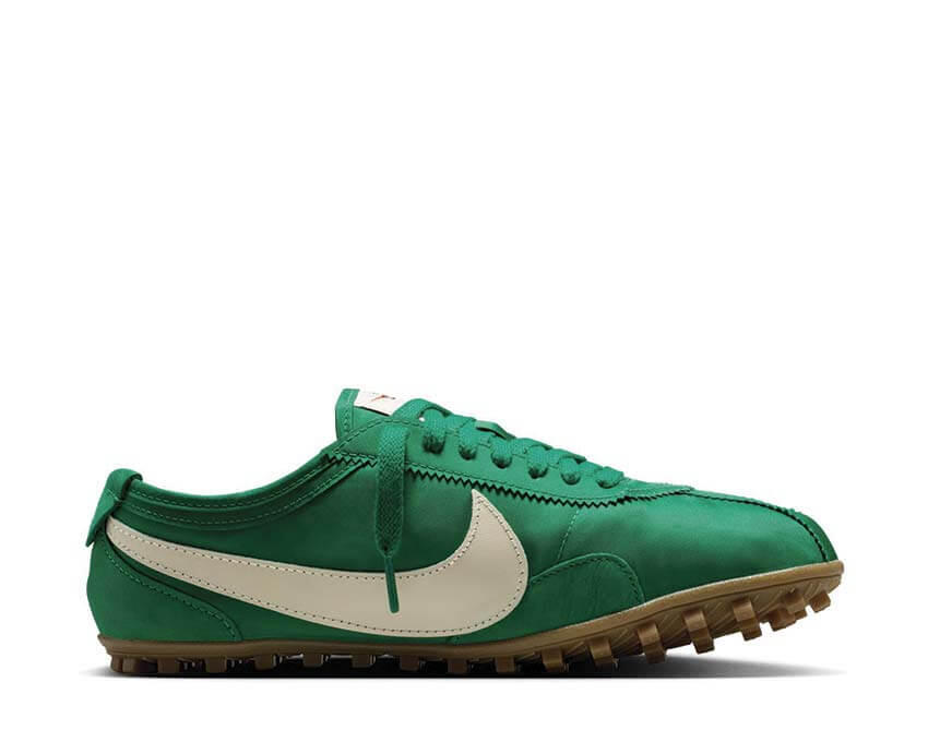 NIKE picture