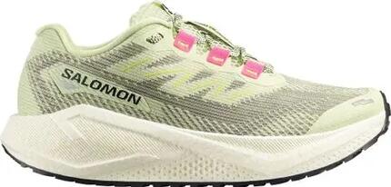 Chaussures de course Salomon modèle Aero Blaze 3 GRVL pour femmes