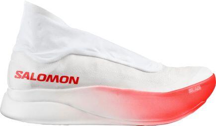 SALOMON picture