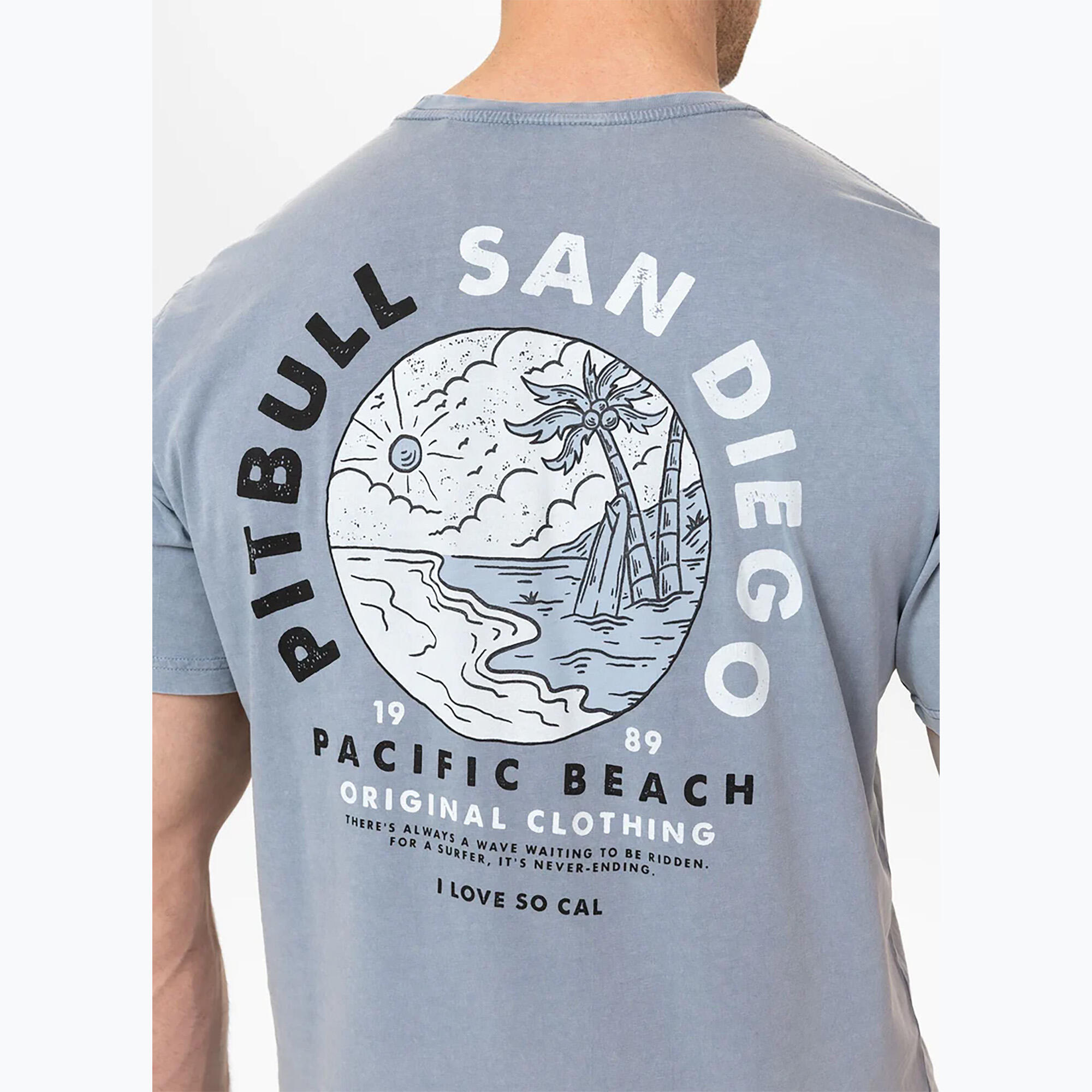 Koszulka męska Pitbull Planet Surf 4/7
