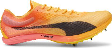 PUMA picture