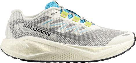 Chaussures de course Salomon modèle Aero Blaze 3 GRVL pour homme