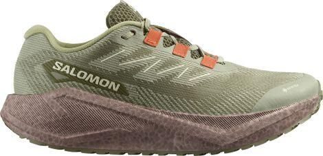 SALOMON picture