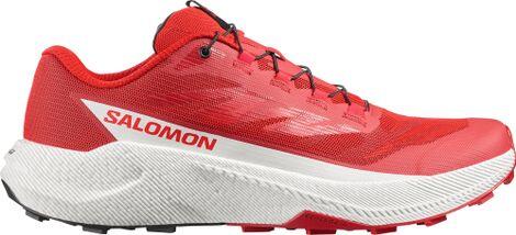 SALOMON picture