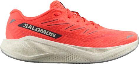 SALOMON picture