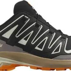 Salomon XA Pro 3D v9 GTX Trail Shoes - Men