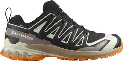 SALOMON picture