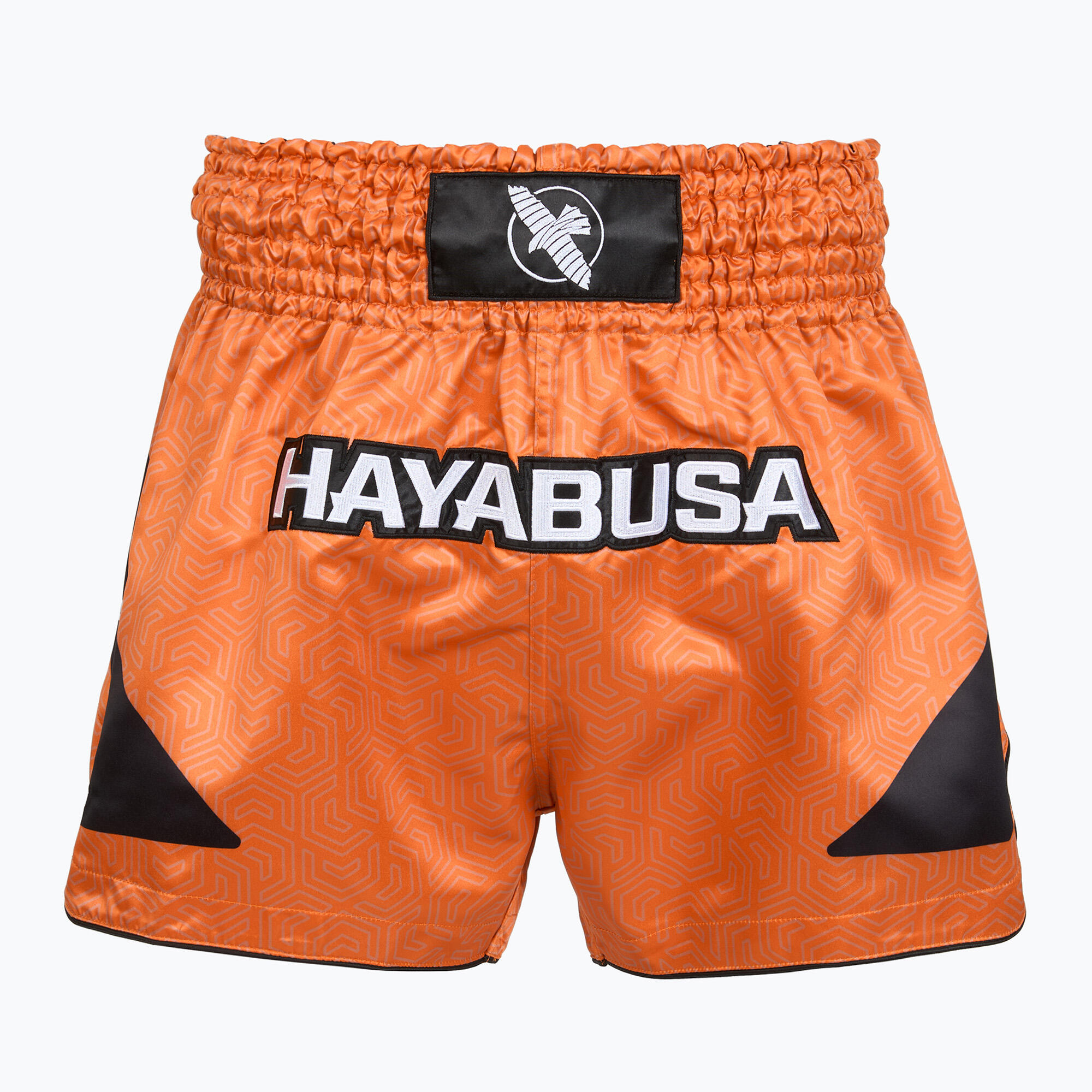 HAYABUSA picture