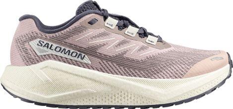 Chaussures de course Salomon modèle Aero Blaze 3 GRVL pour femmes