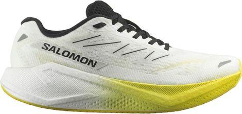 SALOMON picture