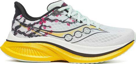SAUCONY picture