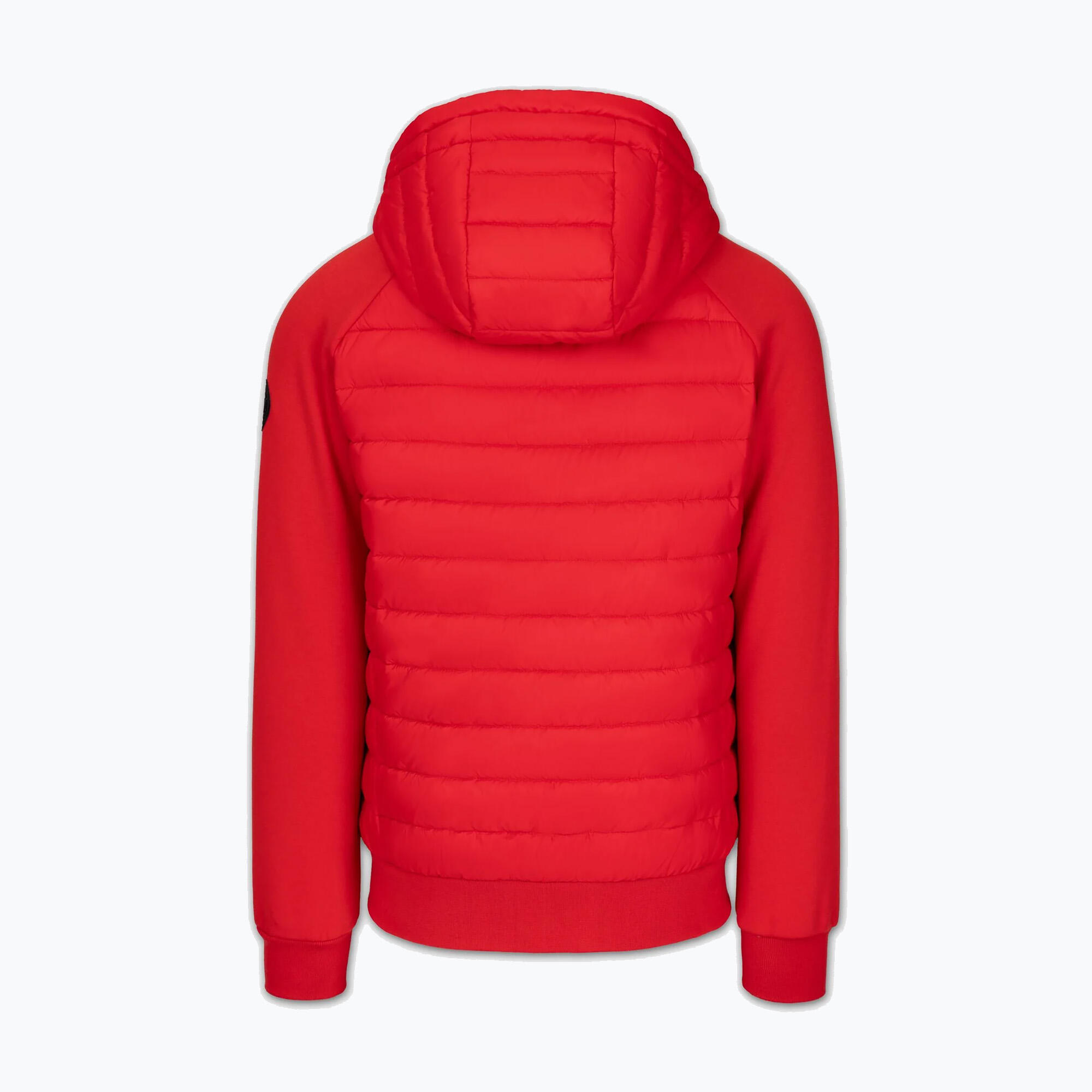Kurtka męska Pitbull Palomar Padded Hooded Hybrid 6/7