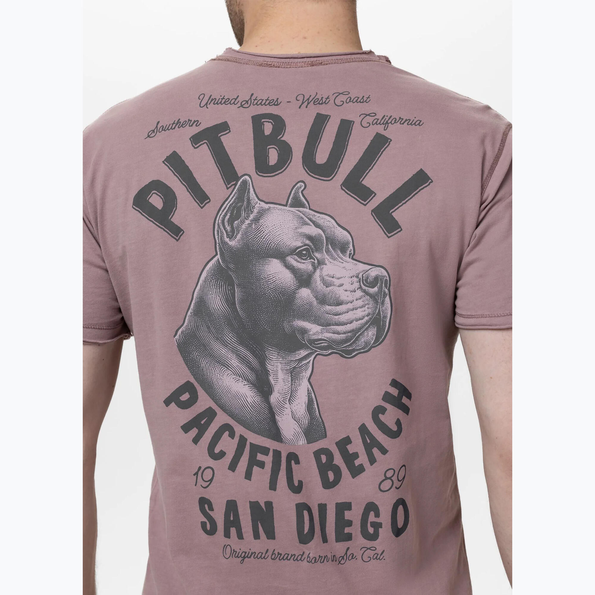 Koszulka męska Pitbull Pacyfic 3/7