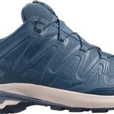 Salomon XA Pro 3D v9 GTX men's trail shoes