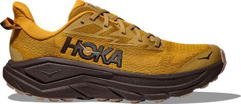 HOKA picture