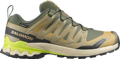 SALOMON picture