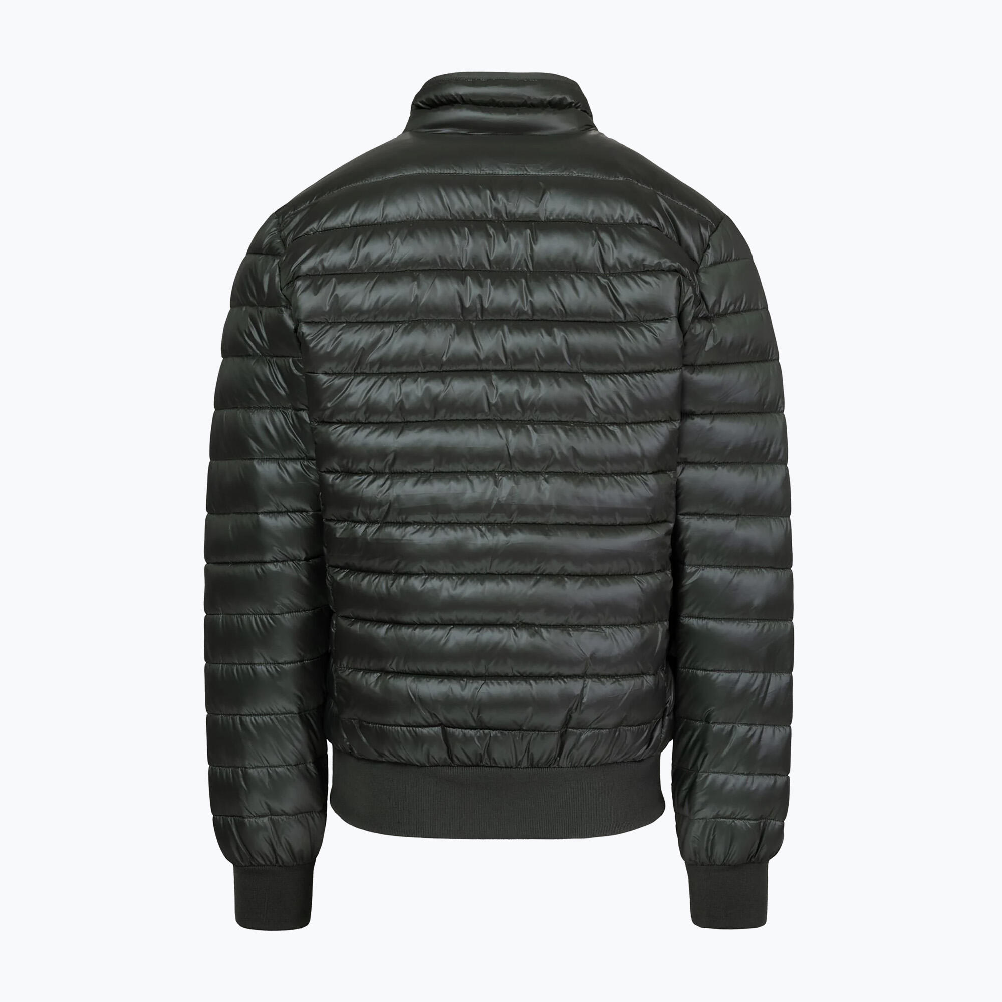 Chaqueta de hombre Pitbull Harper Padded 6/7