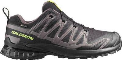 Salomon XA Pro 3D v9 GTX Scarpe Trail Nero/Grigio Uomo