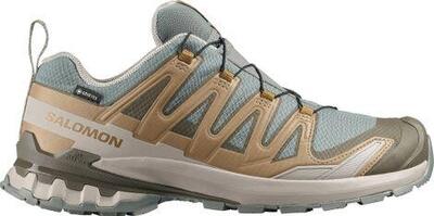 Salomon XA Pro 3D v9 GTX Scarpe Trail Blu/Kaki Uomo
