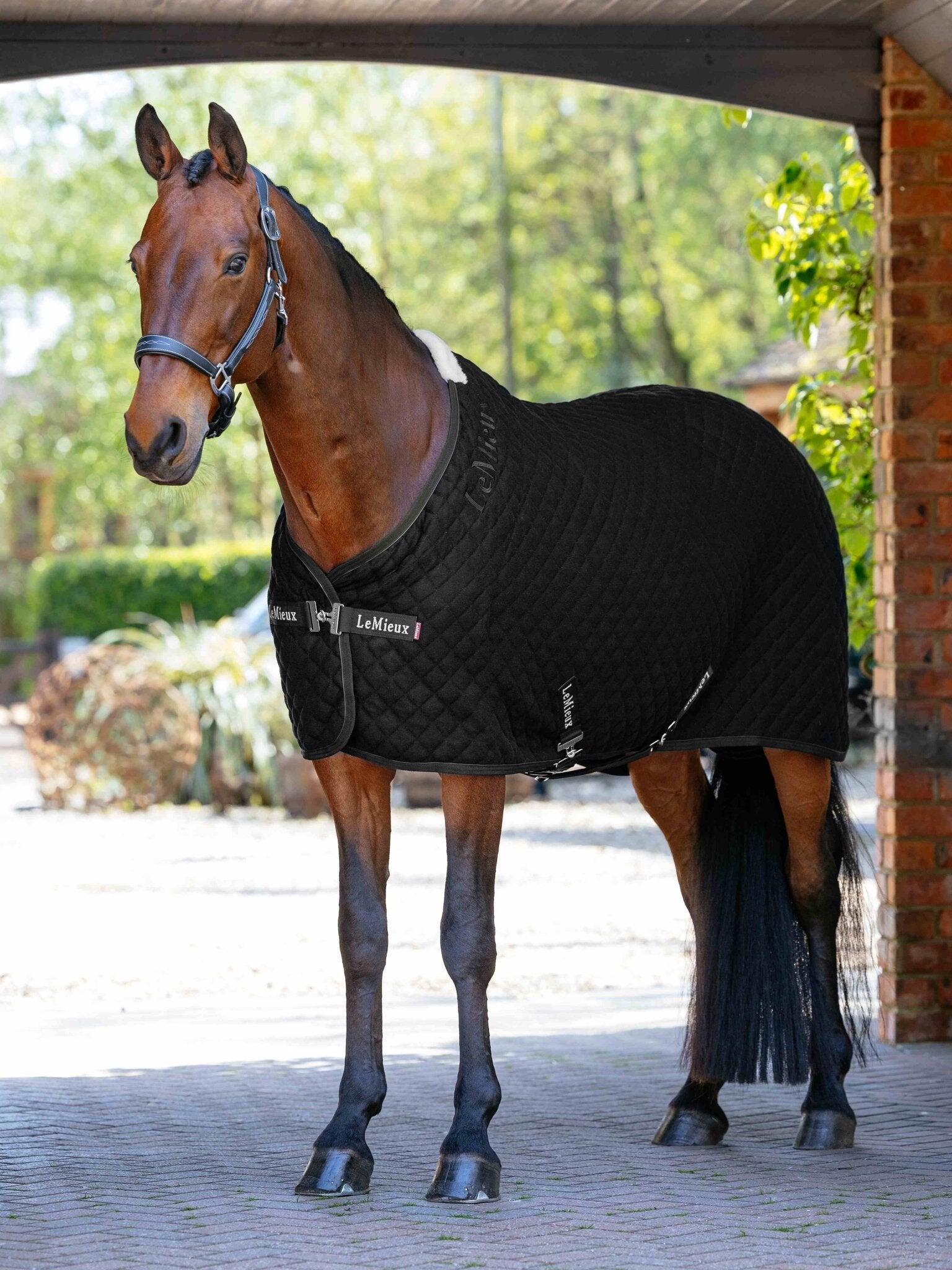 Lemieux Arika Clima-tek Rug Zwart - 3/7